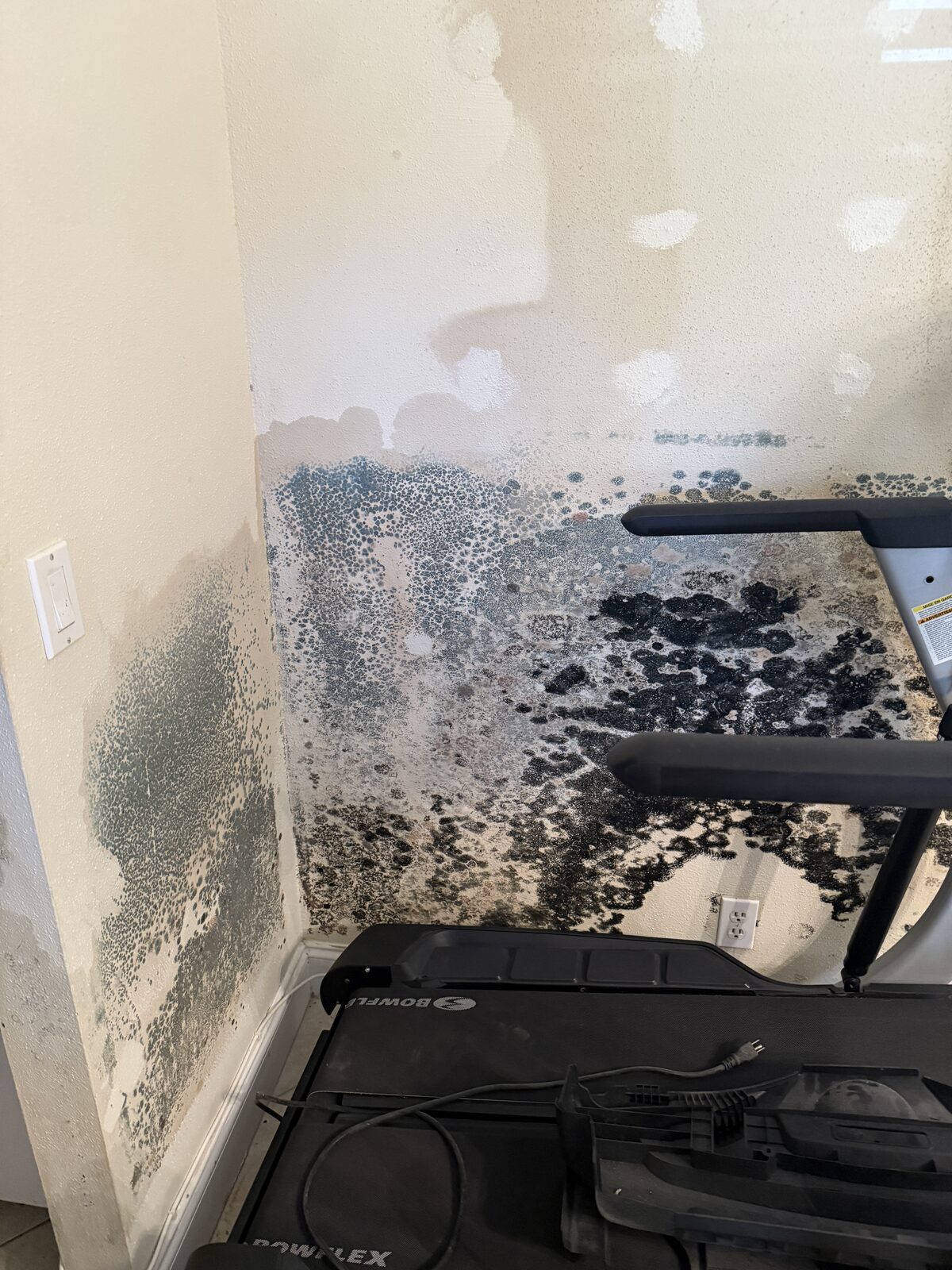 Mold Remediation in a Boca Raton Condo