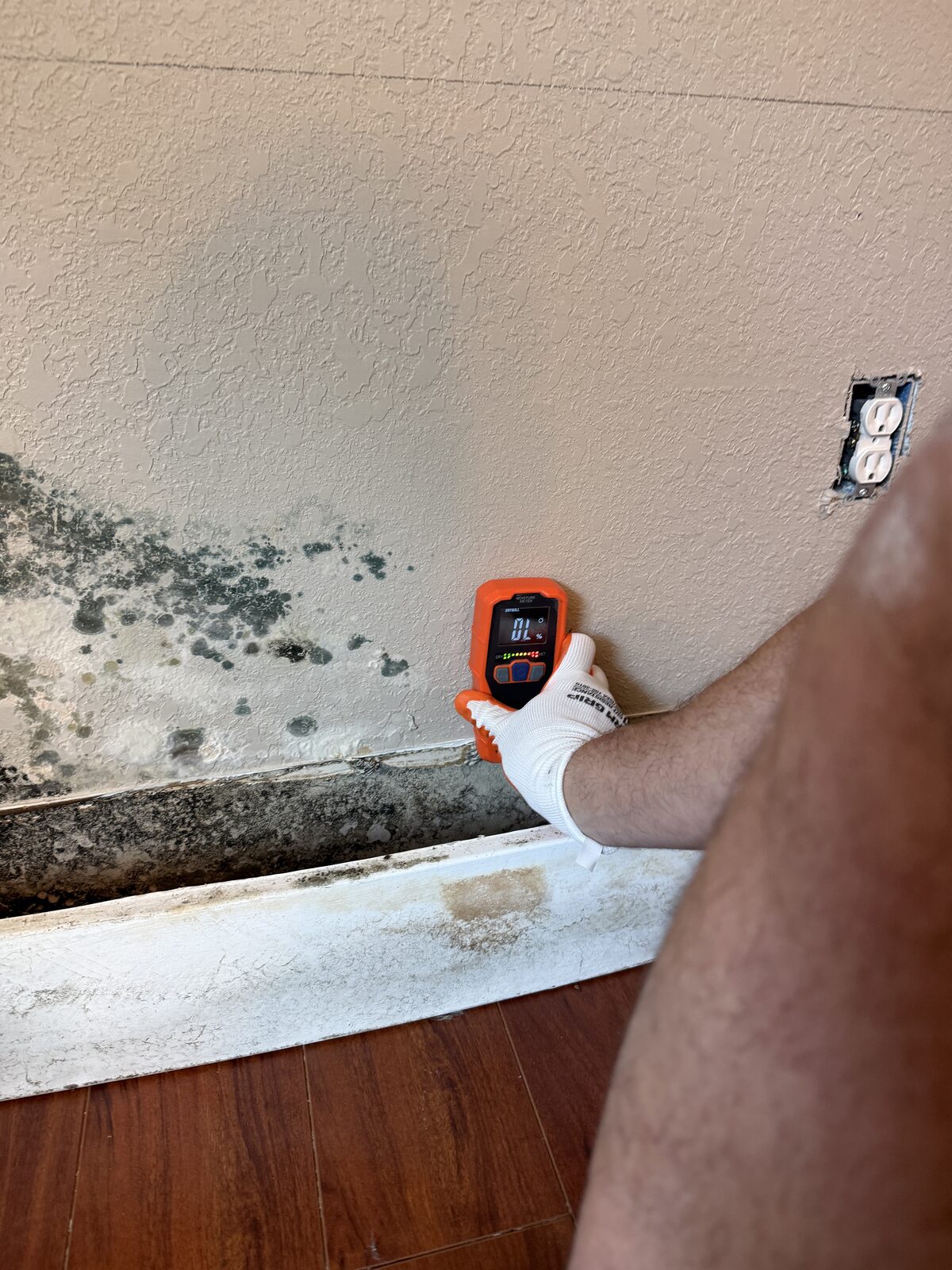 Hidden Mold from Two Leaks — Boca Raton Home