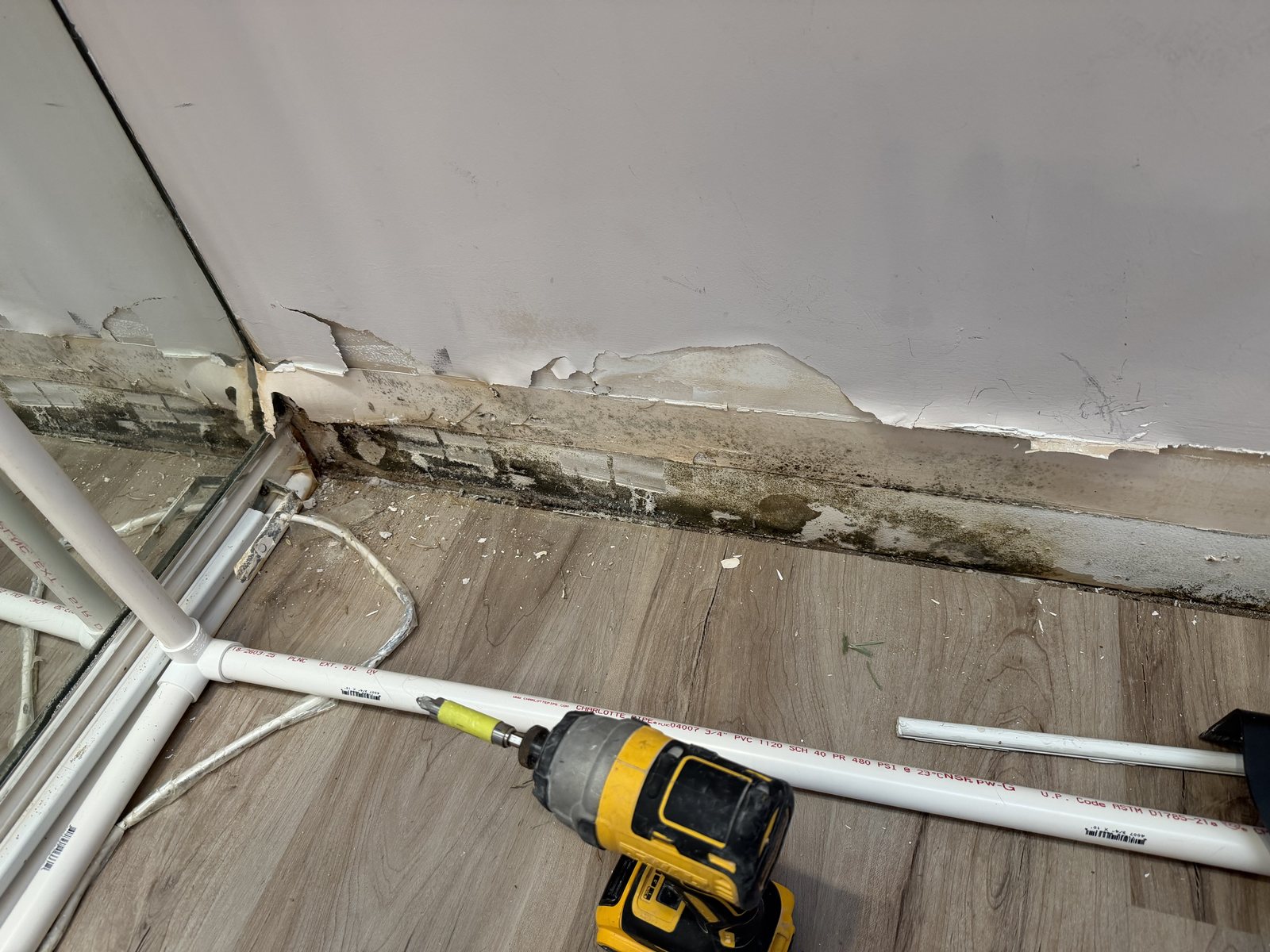 Mold from a Supply Line Leak in a Coconut Creek Condo