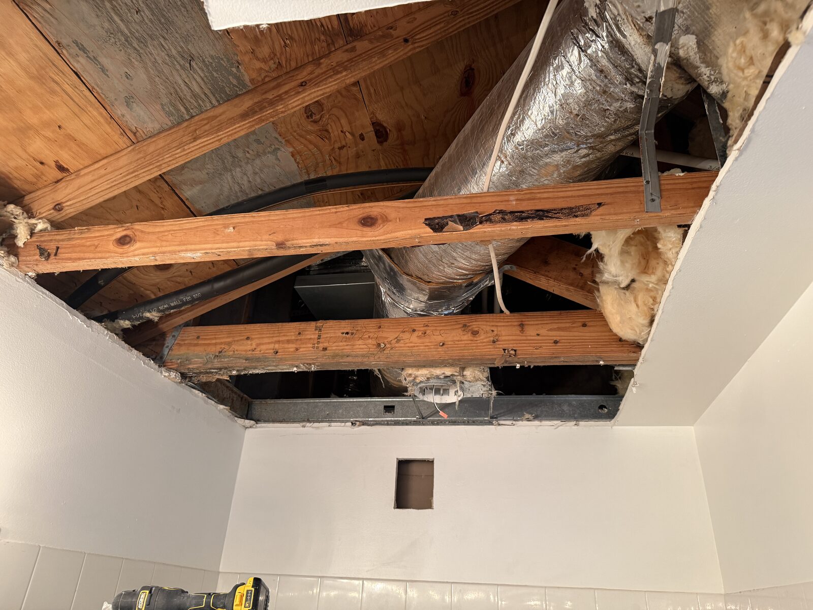 Mold in a Ceiling from an Attic AC Drain Line in Parkland