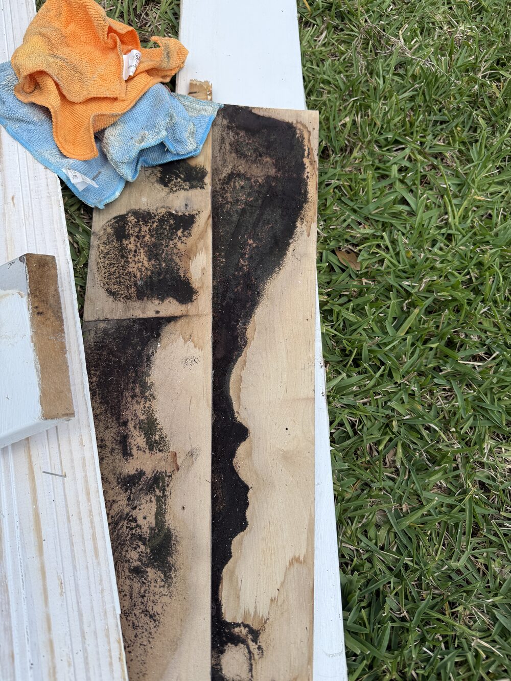 Mold-damaged trim removed from a home